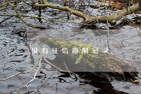没有征信逾期记录 没有征信逾期记录