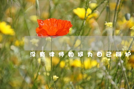 没有律师如何为自己辩护申请缓刑 没有律师如何为自己辩护申请缓刑