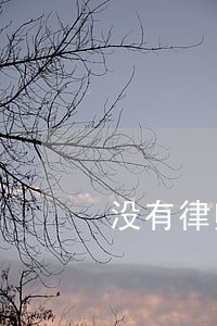 没有律师签字 没有律师签字