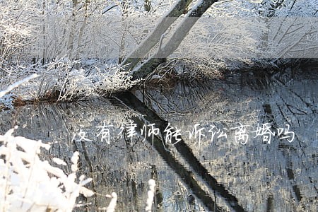 没有律师能诉讼离婚吗 没有律师能诉讼离婚吗