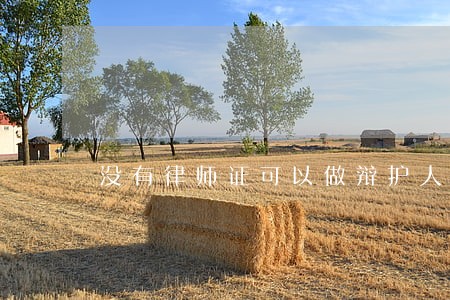 没有律师证可以做辩护人吗 没有律师证可以做辩护人吗