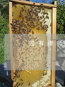没有律师证可以帮人打光司吗 没有律师证可以帮人打光司吗
