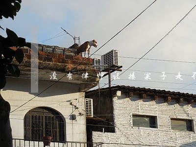 没有律师证接案子是不是欺诈 没有律师证接案子是不是欺诈