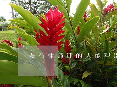 没有律师证的人能帮别人打官司吗 没有律师证的人能帮别人打官司吗