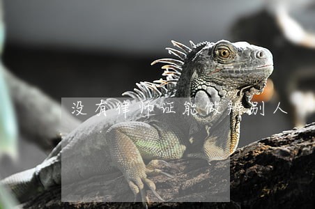 没有律师证能做辨别人 没有律师证能做辨别人