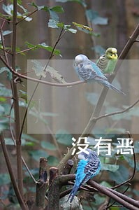 没有恶意逾期还能贷到款吗 没有恶意逾期还能贷到款吗