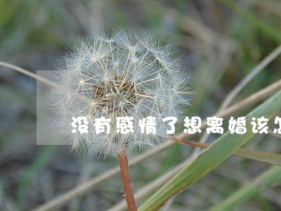 没有感情了想离婚该怎么办 没有感情了想离婚该怎么办