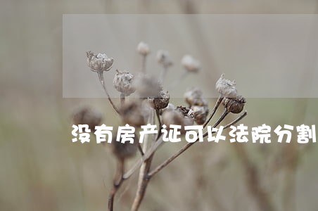 没有房产证可以法院分割吗