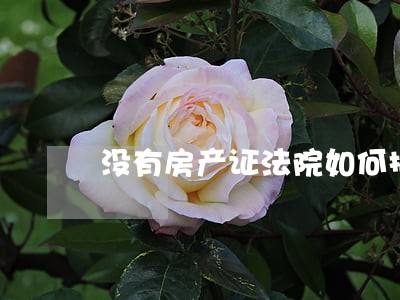没有房产证法院如何拍卖 没有房产证法院如何拍卖