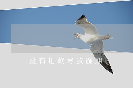 没有扣款导致逾期 没有扣款导致逾期