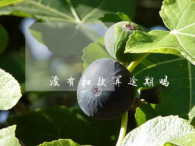 没有扣款算逾期吗 没有扣款算逾期吗