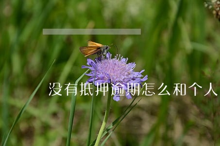 没有抵押逾期怎么和个人贷款 没有抵押逾期怎么和个人贷款