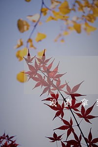 没有拿到工资违法吗 没有拿到工资违法吗