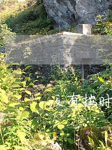 没有按时办税务证是违法吗 没有按时办税务证是违法吗