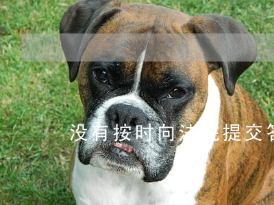 没有按时向法院提交答辩状 没有按时向法院提交答辩状