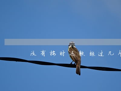 没有按时还款超过几个小时算逾期 没有按时还款超过几个小时算逾期