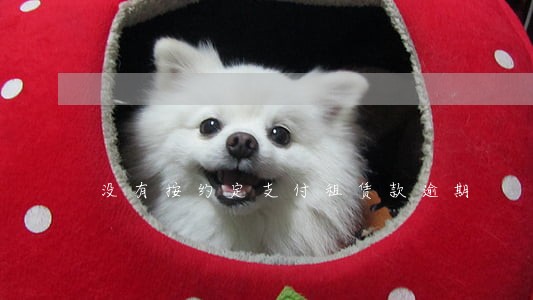 没有按约定支付租赁款逾期 没有按约定支付租赁款逾期