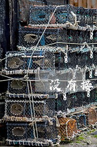 没有接到还款信息最后说逾期