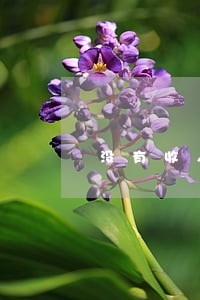没有收入身无分文网贷逾期了 没有收入身无分文网贷逾期了