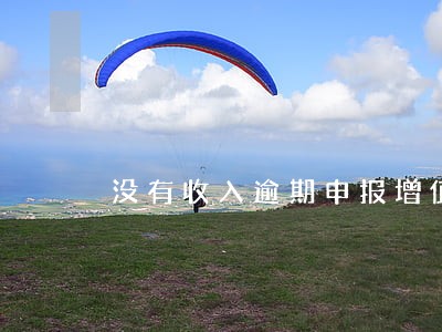 没有收入逾期申报增值税 没有收入逾期申报增值税