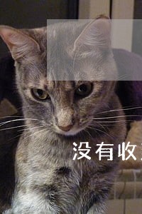 没有收到信用卡账单导致逾期