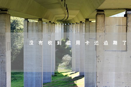 没有收到信用卡还逾期了怎么办 没有收到信用卡还逾期了怎么办