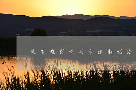 没有收到信用卡逾期短信 没有收到信用卡逾期短信
