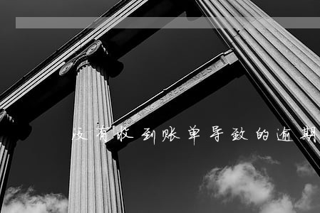 没有收到账单导致的逾期 没有收到账单导致的逾期