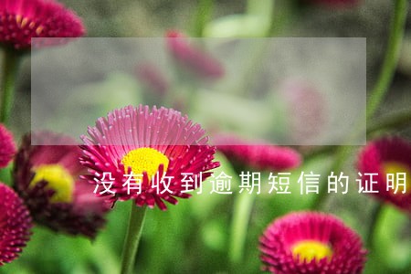 没有收到逾期短信的证明 没有收到逾期短信的证明