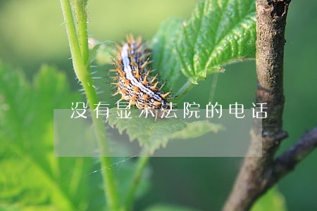 没有显示法院的电话 没有显示法院的电话
