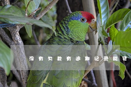 没有欠款有逾期记录能贷款么 没有欠款有逾期记录能贷款么