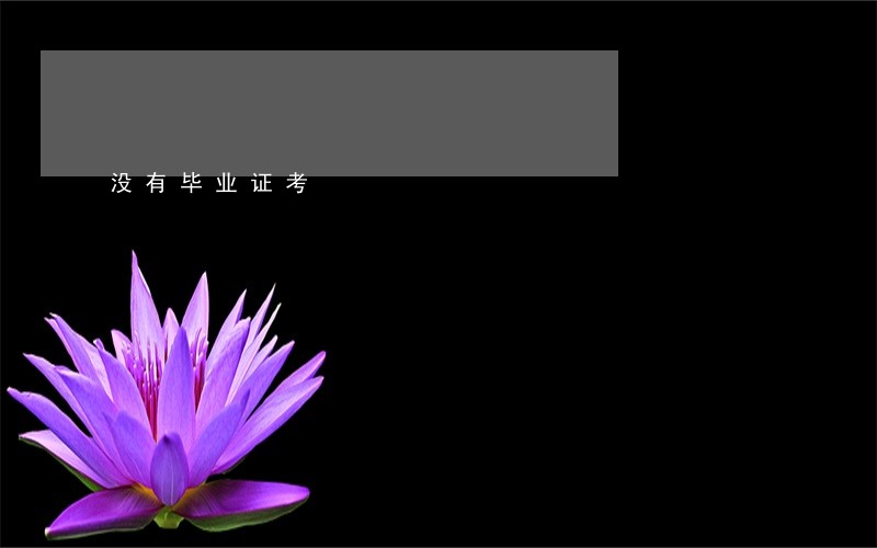 没有毕业证考 没有毕业证考