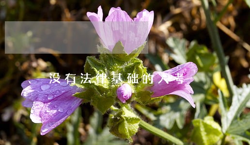 没有法律基础的人考 没有法律基础的人考