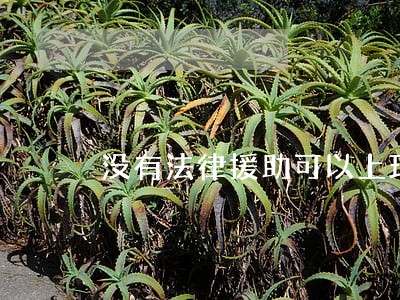 没有法律援助可以上班吗 没有法律援助可以上班吗