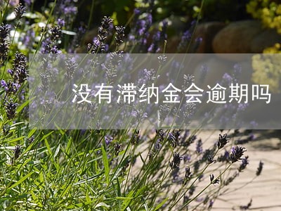 没有滞纳金会逾期吗 没有滞纳金会逾期吗