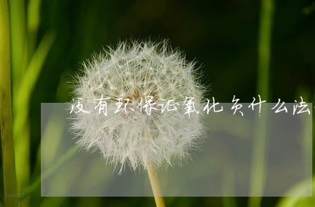 没有环保证氧化负什么法律责任 没有环保证氧化负什么法律责任