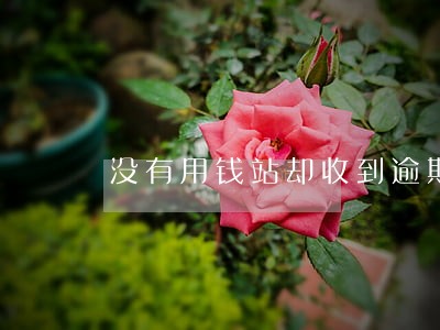 没有用钱站却收到逾期短信 没有用钱站却收到逾期短信