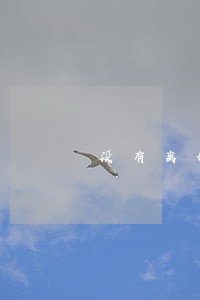 没有离婚可以要求老婆赔偿吗 没有离婚可以要求老婆赔偿吗