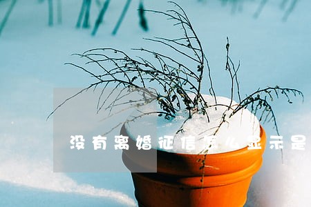没有离婚征信怎么显示是离婚 没有离婚征信怎么显示是离婚