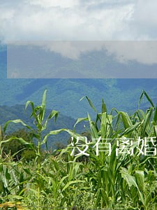 没有离婚证和别的男人结婚 没有离婚证和别的男人结婚