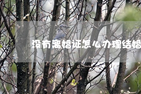 没有离婚证怎么办理结婚证