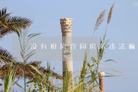 没有租房合同房东违法嘛