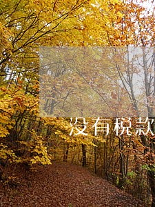 没有税款逾期申报有滞纳金吗 没有税款逾期申报有滞纳金吗