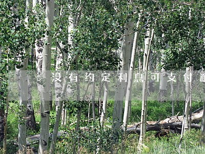 没有约定利息可支付逾期利息 没有约定利息可支付逾期利息