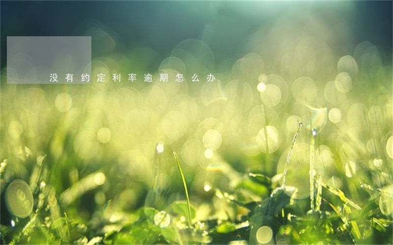 没有约定利率逾期怎么办 没有约定利率逾期怎么办