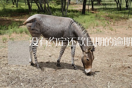 没有约定还款日期的逾期贷款 没有约定还款日期的逾期贷款