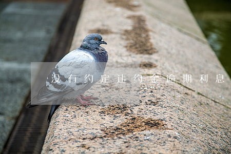 没有约定违约金逾期利息