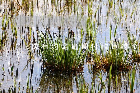 没有约定逾期付款违约金 没有约定逾期付款违约金