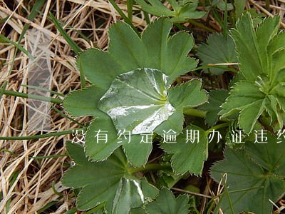没有约定逾期办证违约金 没有约定逾期办证违约金