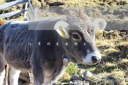 没有约定逾期支付货款违约金 没有约定逾期支付货款违约金